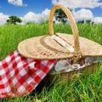 Facciamo un pic nic!