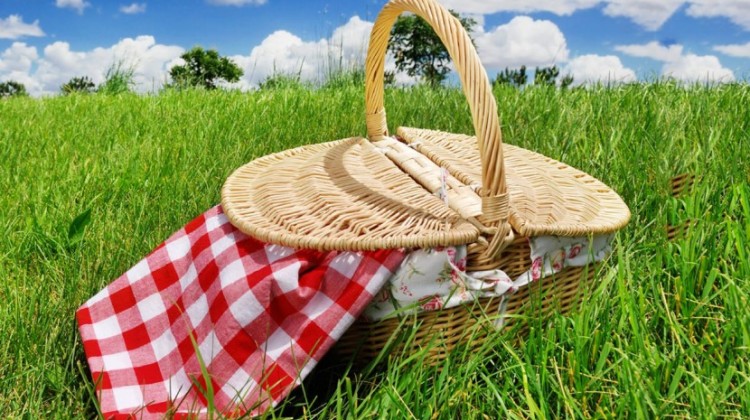 Facciamo un pic nic!