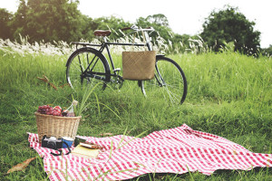 pic-nic1