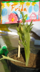 Giardinaggio per bambini