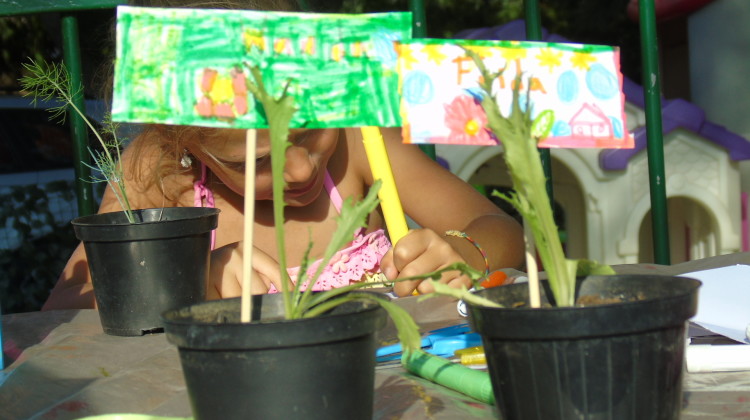 GIARDINAGGIO PER BAMBINI